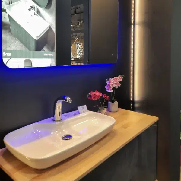 Luxury Bathroom