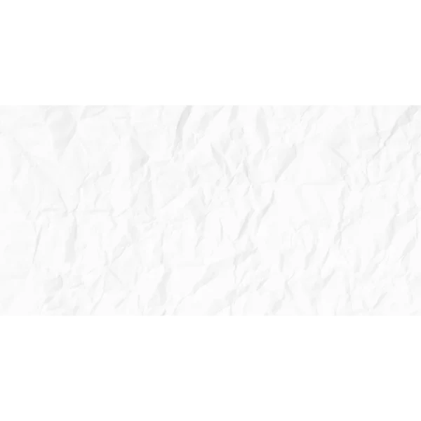 ELIT - Image 3